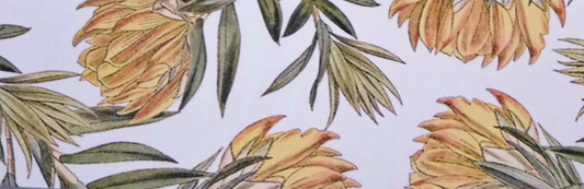 Summer Floral Sash