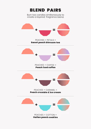 Blend Soy Wax Candle - Peaches by The Aromatherapy Co 280g NZ AU