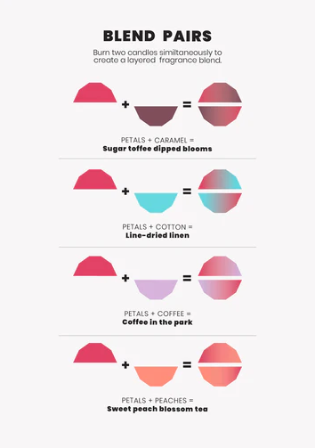 Blend Soy Wax Candle - Petals by The Aromatherapy Co 280g NZ AU