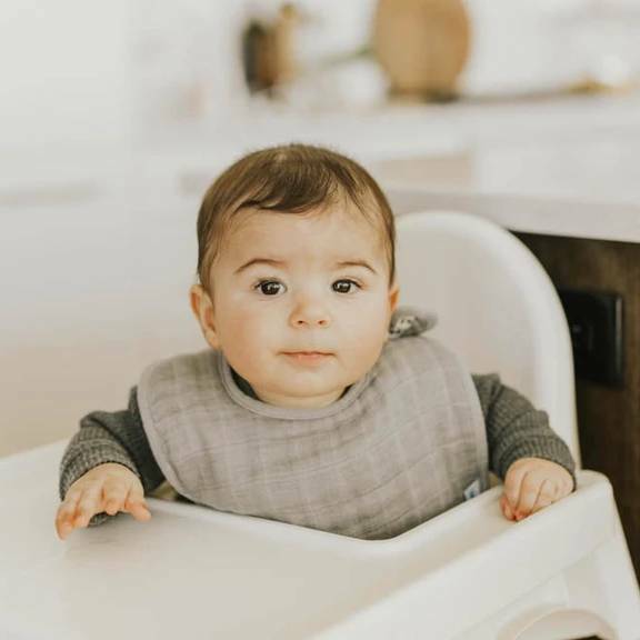 Little Unicorn Muslin Classic Bib 3 pack - Fern