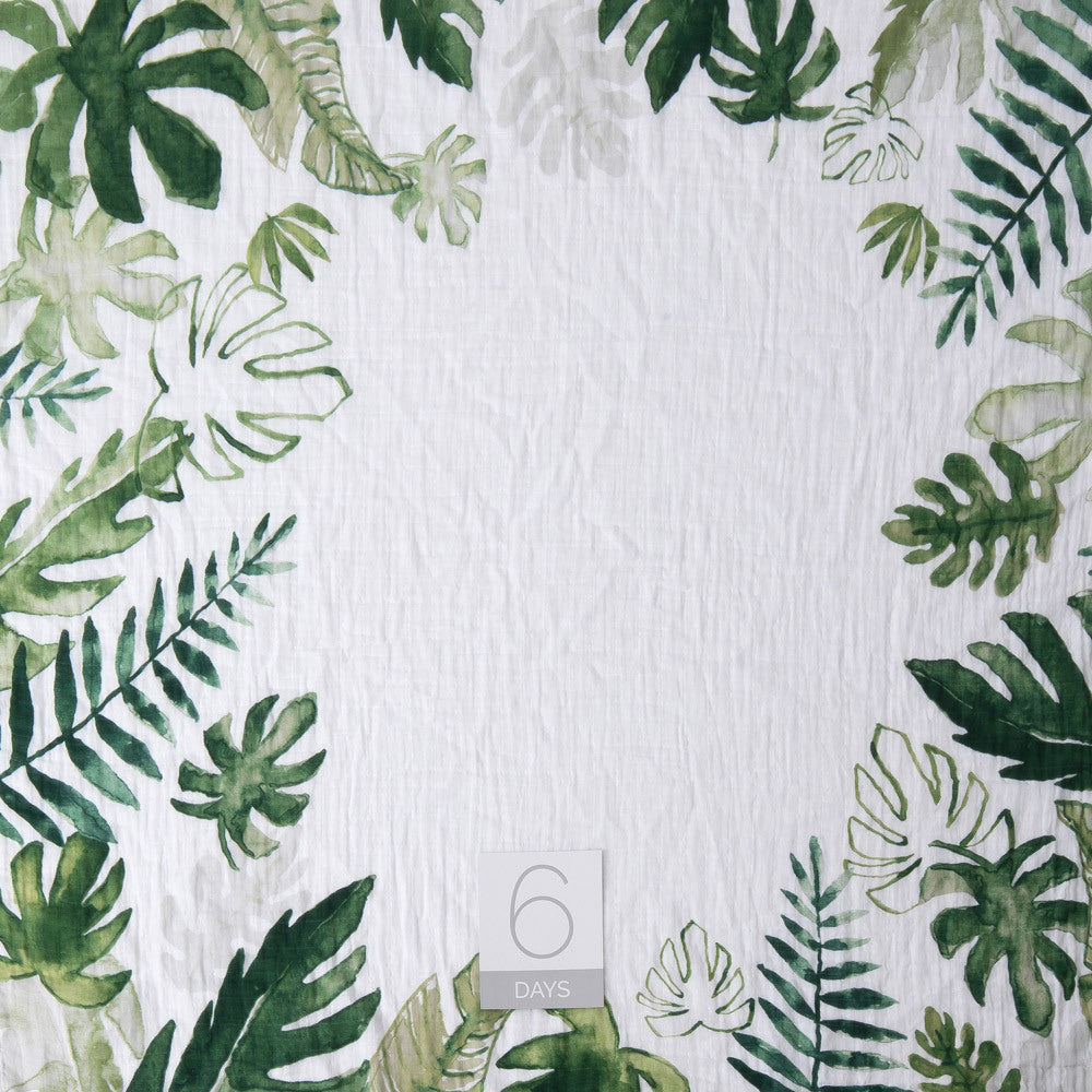 Muslin Photo Blanket & Milestone Set - Tropical Leaf - Swaddle