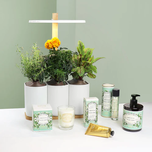 Panier des Sens Precious Jasmine Candle 180g - Made in France | Savoir Vivre Homewares & Gifts NZ